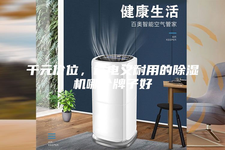 千元价位，省电又耐用的除湿机哪个牌子好