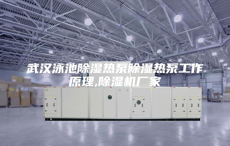 武汉泳池除湿热泵除湿热泵工作原理,除湿机厂家