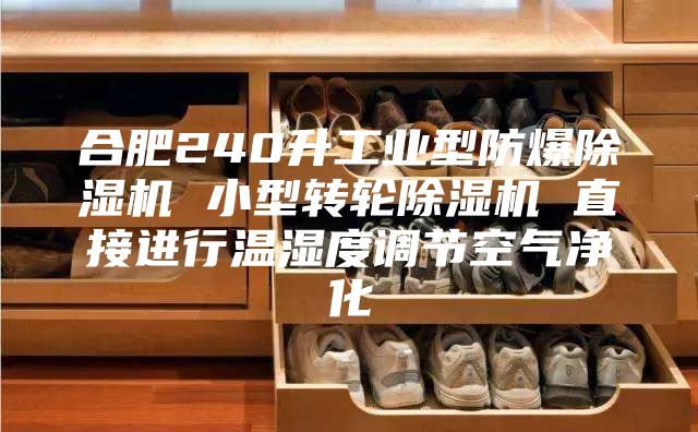合肥240升工业型防爆除湿机 小型转轮除湿机 直接进行温湿度调节空气净化