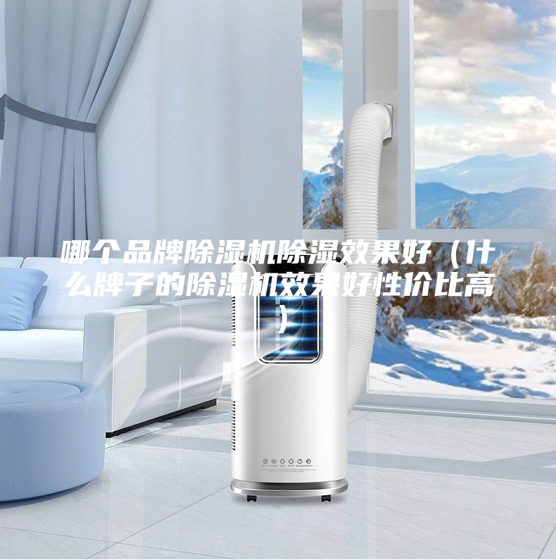 哪个品牌除湿机除湿效果好（什么牌子的除湿机效果好性价比高）