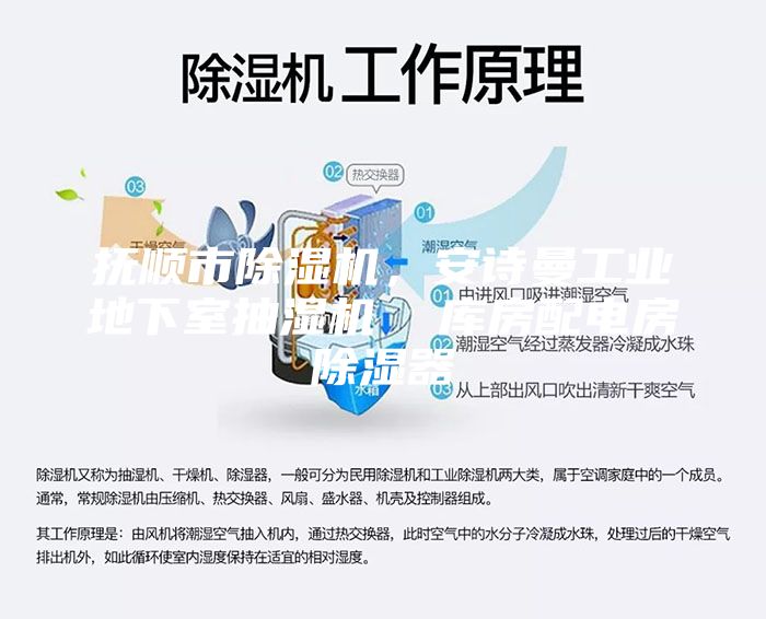 抚顺市除湿机，安诗曼工业地下室抽湿机  库房配电房除湿器