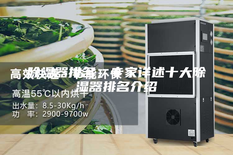 除湿器排名，专家详述十大除湿器排名介绍