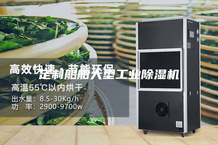 定制船舶大型工业除湿机