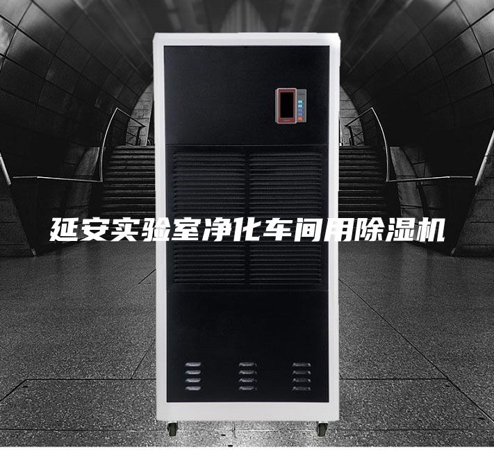 延安实验室净化车间用除湿机