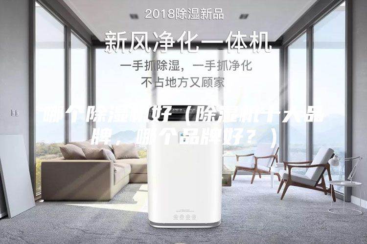 哪个除湿机好（除湿机十大品牌，哪个品牌好？）