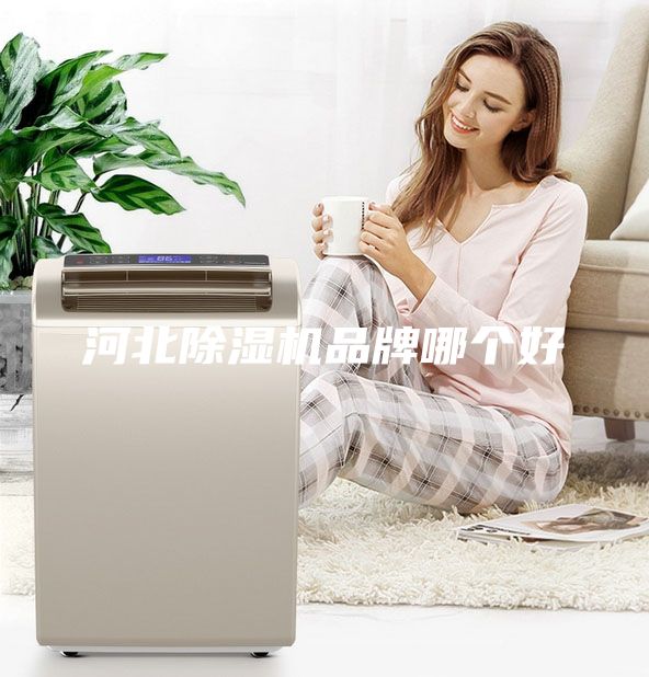 河北除湿机品牌哪个好