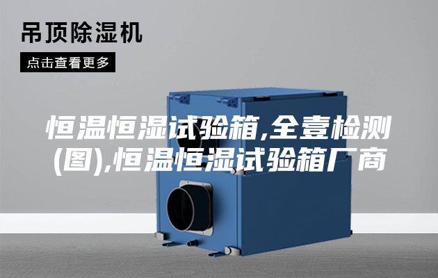 恒温恒湿试验箱,全壹检测(图),恒温恒湿试验箱厂商