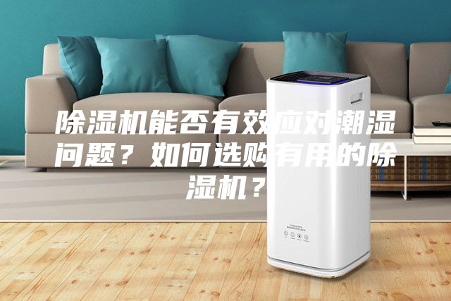 除湿机能否有效应对潮湿问题？如何选购有用的除湿机？