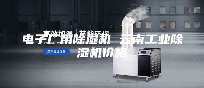 电子厂用除湿机 云南工业除湿机价格