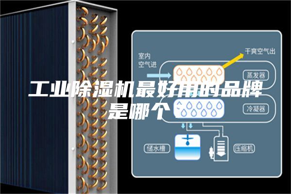 工业除湿机最好用的品牌是哪个？