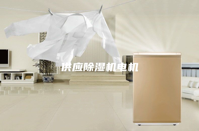 供应除湿机电机