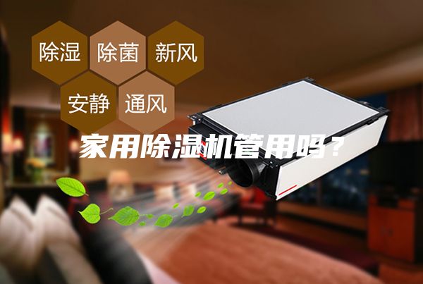 家用除湿机管用吗？