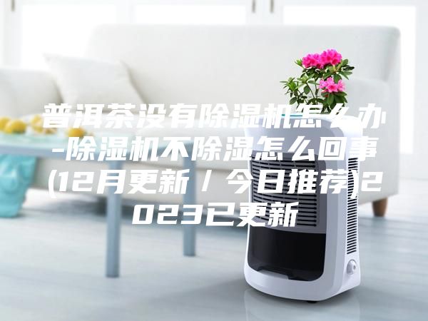普洱茶没有除湿机怎么办-除湿机不除湿怎么回事(12月更新／今日推荐)2023已更新