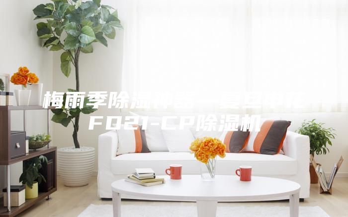 梅雨季除湿神器—复旦申花FD21-CP除湿机