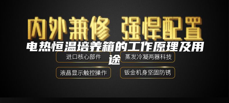 电热恒温培养箱的工作原理及用途