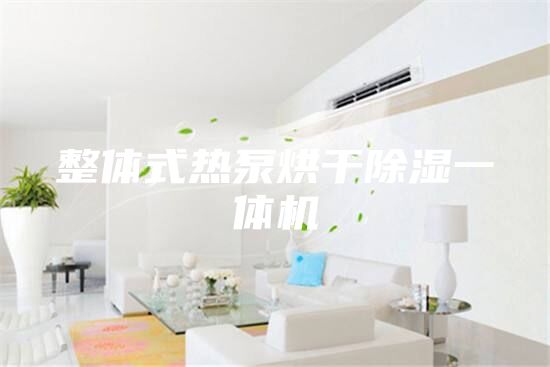 整体式热泵烘干除湿一体机