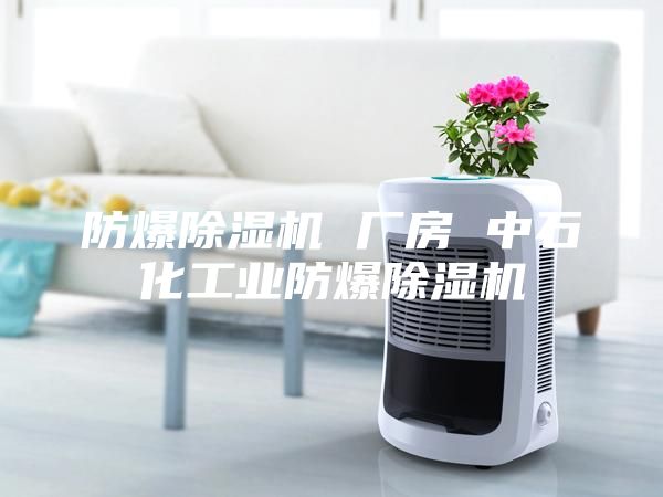 防爆除湿机 厂房 中石化工业防爆除湿机