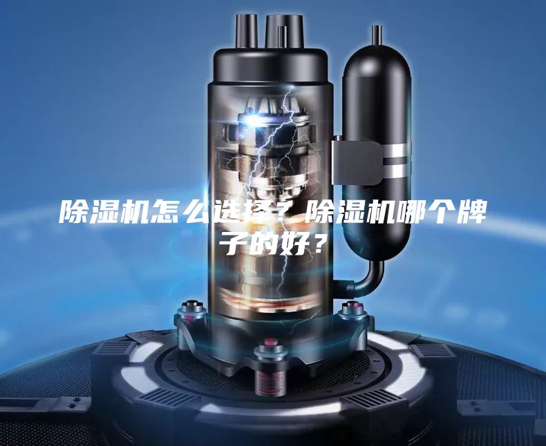 除湿机怎么选择？除湿机哪个牌子的好？