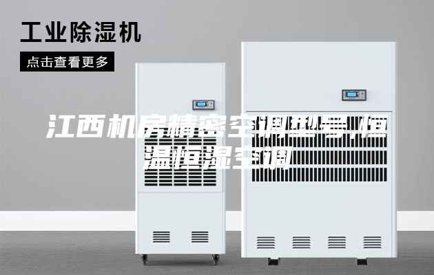 江西机房精密空调型号,恒温恒湿空调