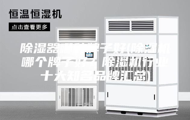 除湿器哪种牌子好(除湿机哪个牌子好？除湿机行业十大知名品牌汇总)