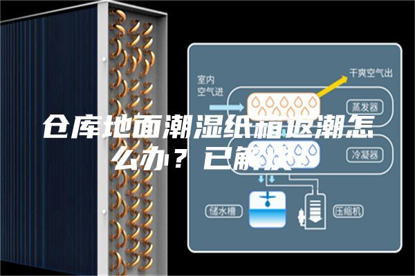 仓库地面潮湿纸箱返潮怎么办？已解决！