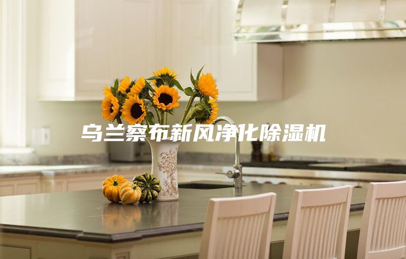 乌兰察布新风净化除湿机