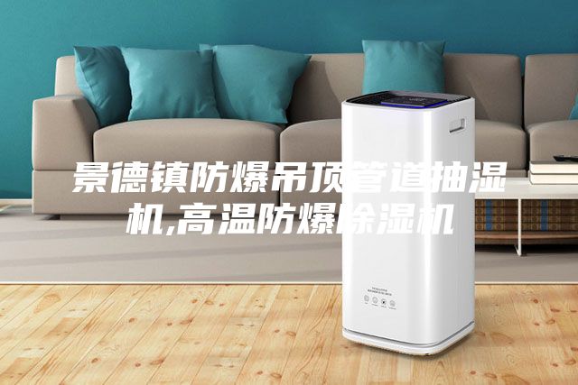 景德镇防爆吊顶管道抽湿机,高温防爆除湿机