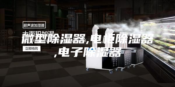 微型除湿器,电柜除湿器,电子除湿器