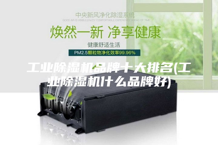 工业除湿机品牌十大排名(工业除湿机什么品牌好)