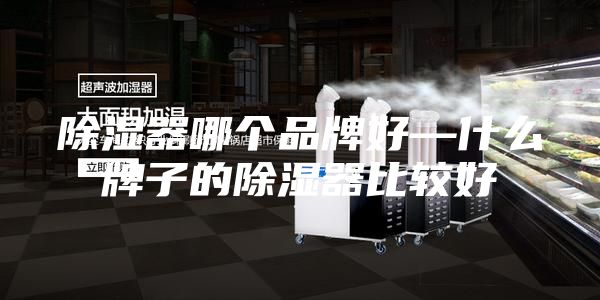 除湿器哪个品牌好—什么牌子的除湿器比较好