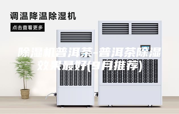 除湿机普洱茶-普洱茶除湿效果最好(9月推荐)