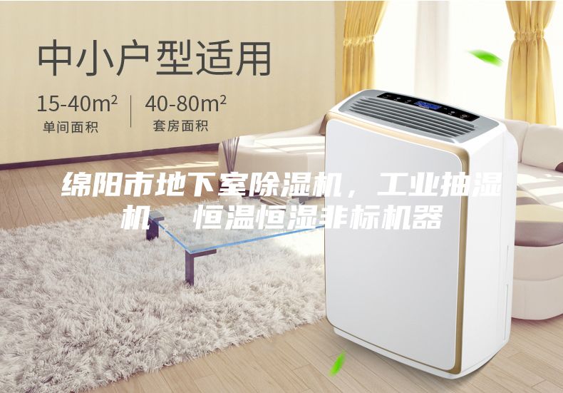绵阳市地下室除湿机，工业抽湿机  恒温恒湿非标机器
