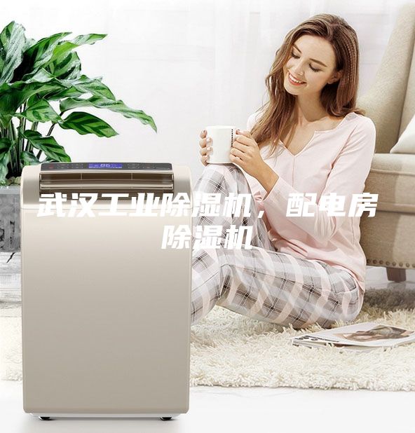 武汉工业除湿机，配电房除湿机