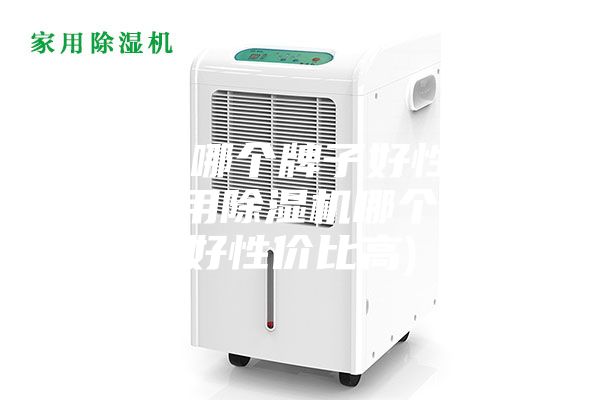 除湿机哪个牌子好性价比高(家用除湿机哪个牌子好性价比高)