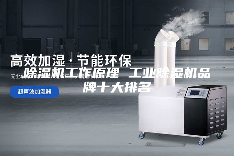 除湿机工作原理 工业除湿机品牌十大排名