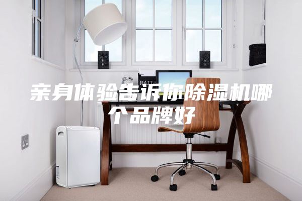 亲身体验告诉你除湿机哪个品牌好