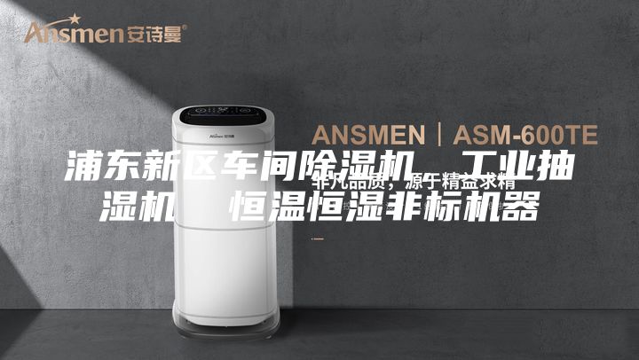 浦东新区车间除湿机，工业抽湿机  恒温恒湿非标机器