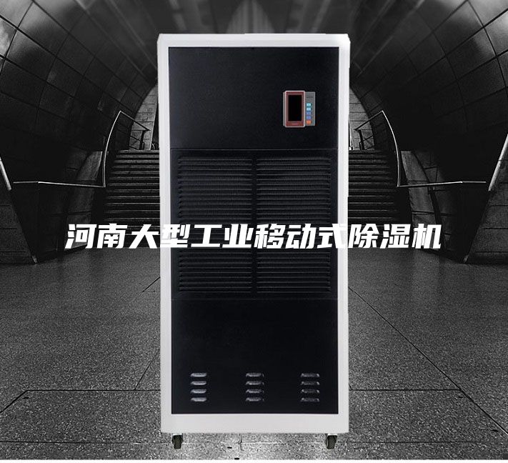 河南大型工业移动式除湿机