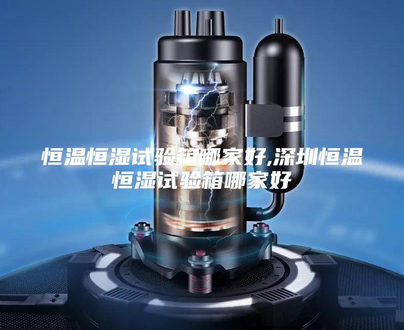 恒温恒湿试验箱哪家好,深圳恒温恒湿试验箱哪家好