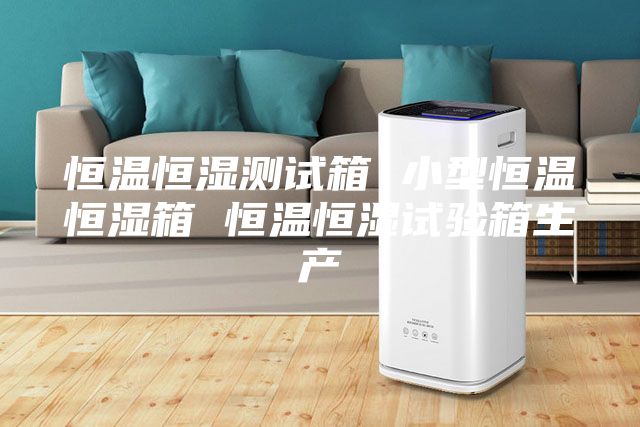 恒温恒湿测试箱 小型恒温恒湿箱 恒温恒湿试验箱生产