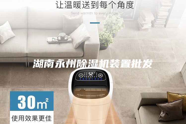 湖南永州除湿机装置批发