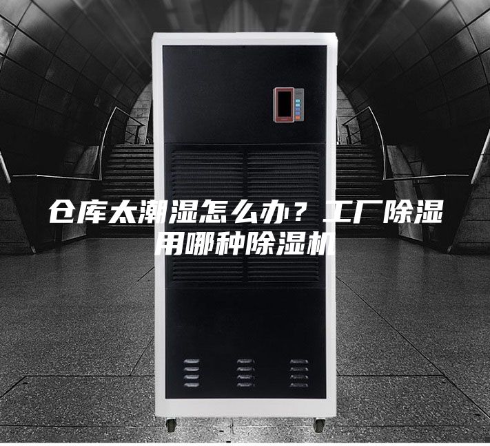 仓库太潮湿怎么办？工厂除湿用哪种除湿机