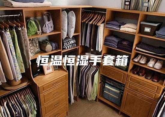 恒温恒湿手套箱