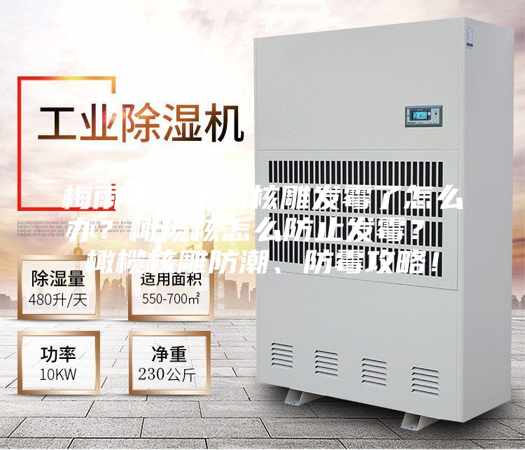 梅雨季！橄榄核雕发霉了怎么办？橄榄核怎么防止发霉？ 橄榄核雕防潮、防霉攻略！