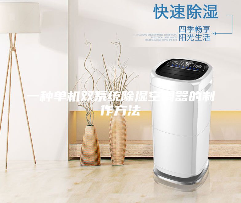 一种单机双系统除湿空调器的制作方法