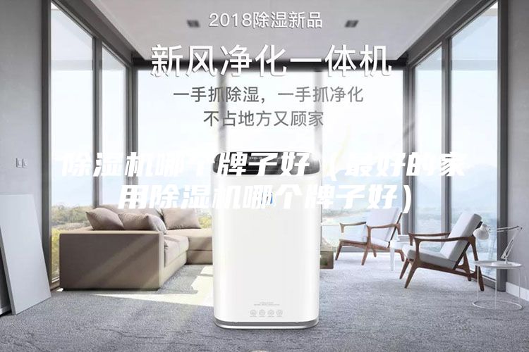 除湿机哪个牌子好（最好的家用除湿机哪个牌子好）