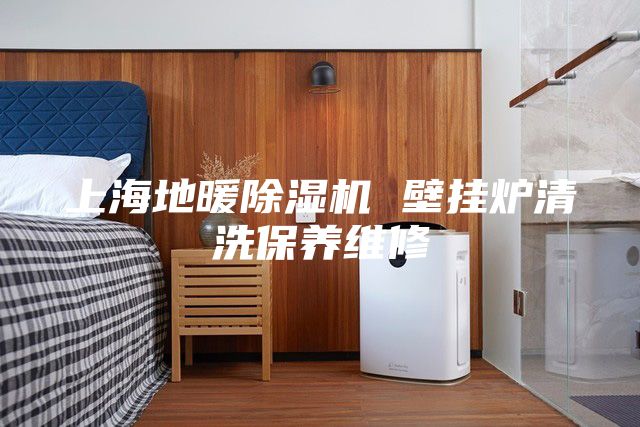 上海地暖除湿机 壁挂炉清洗保养维修