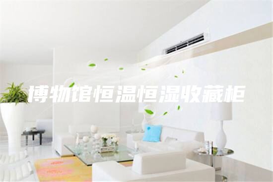 博物馆恒温恒湿收藏柜