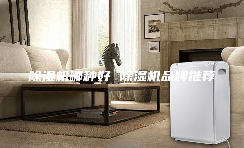 除湿机哪种好 除湿机品牌推荐