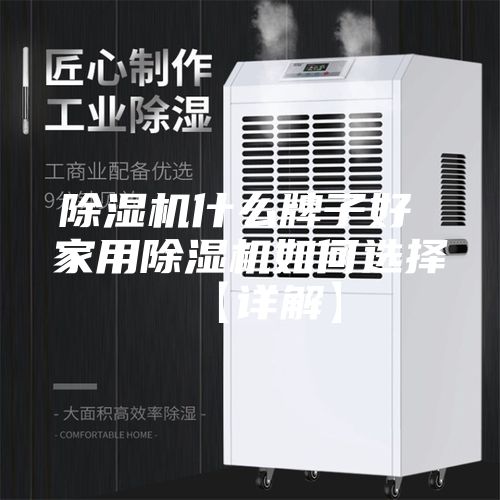 除湿机什么牌子好 家用除湿机如何选择【详解】